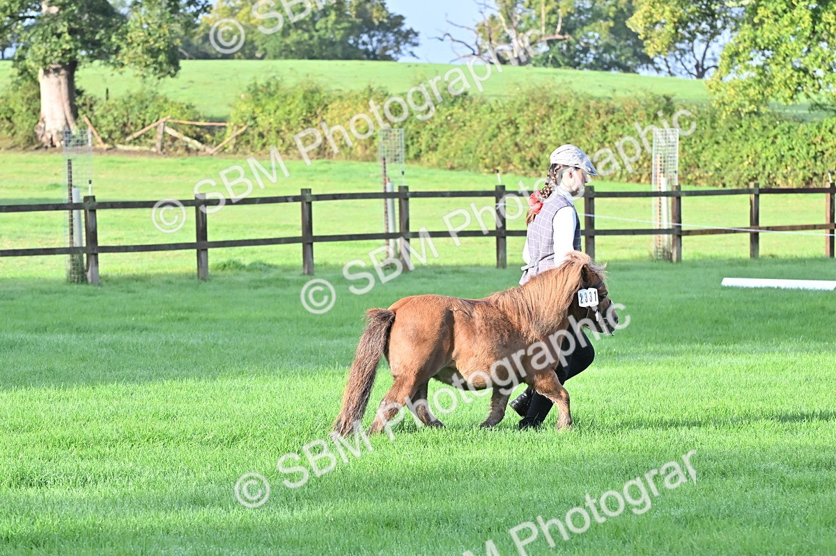 SBM_32575 - S15 - Top Turnout In Hand