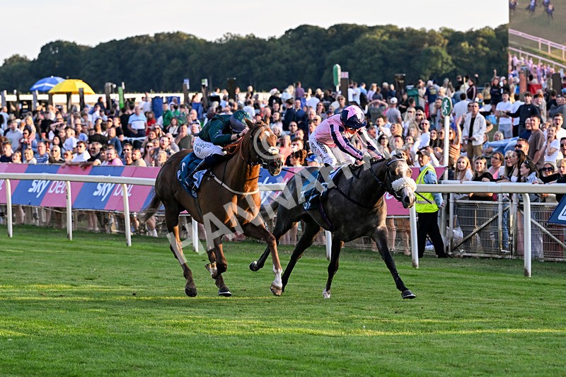 240726-Race 6-Explosive Finnish-5595 - Race 6 20.25pm Sky Bet Go-Racing-In-Yorkshire Summer Festival Handicap