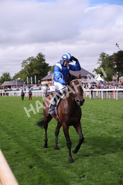 yr17082022r4-93 - Race 4 3.35pm Juddmonte International Stakes (British Champions Series Race)