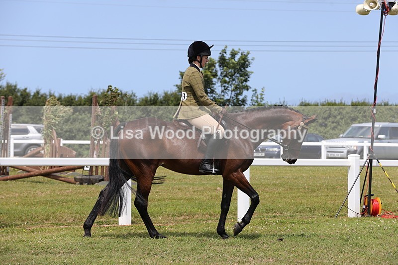 1X9A4278 - Class 34: Veteran Ridden