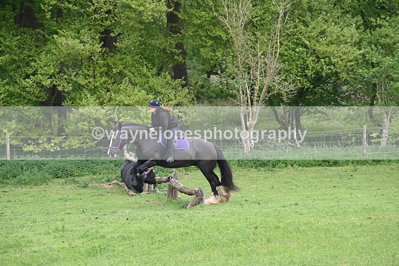 WJ6_2450 - A Camera
