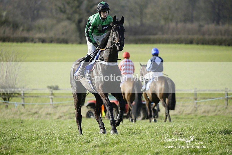 PtP 260222 664 - Kingston Blount Racing Club Point-to-Point 26/02/22