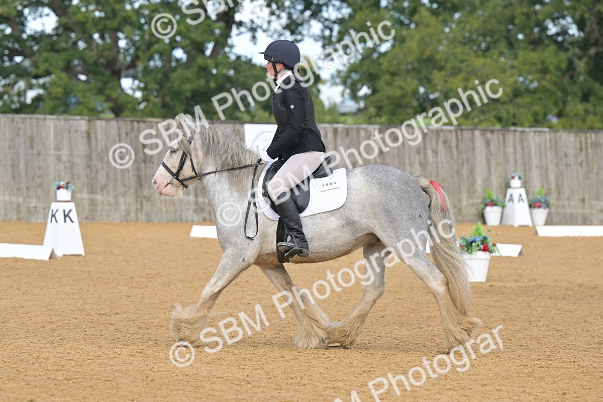 SBM_03742 - D2 - Small Tour Championship Intro 2
