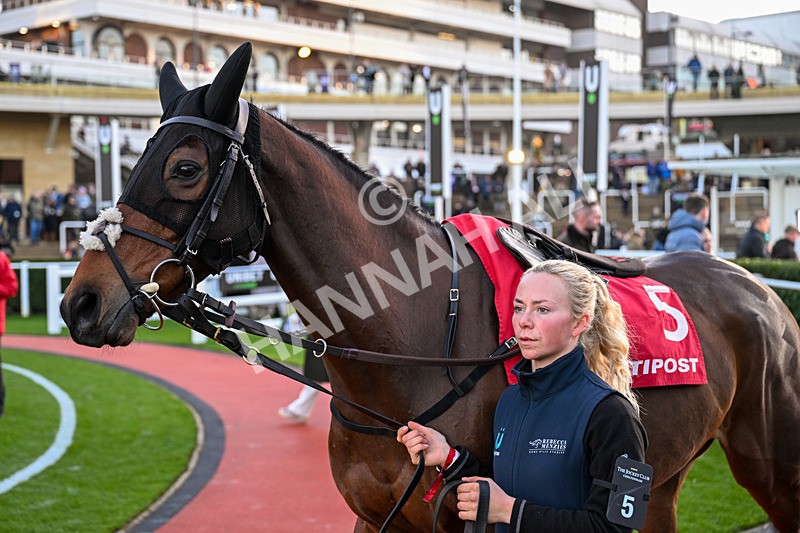 121225-Race 7-Lihyan-6999 - Race 7