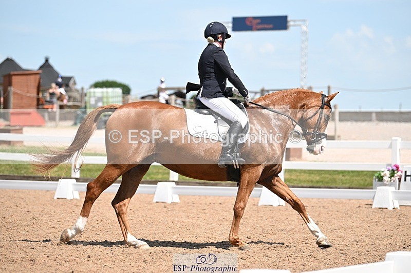 250620-140346-04125 - BD Cls 8 - Elementary 6