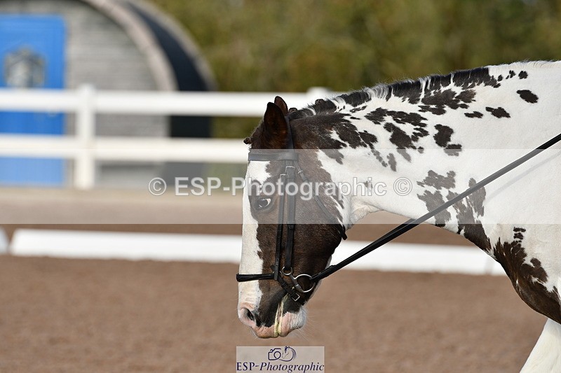 231105A-112315-00270 - UnAf Prelim 18