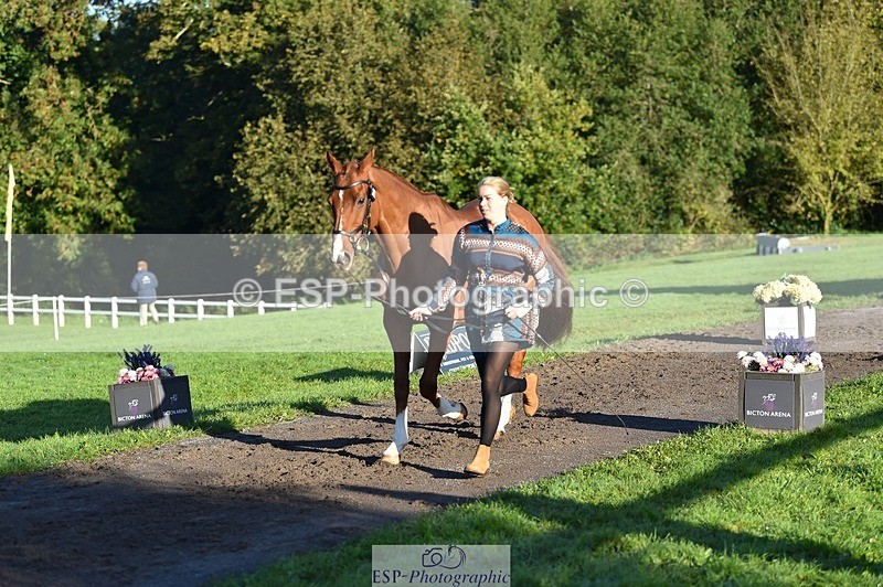 231022-092916-21822 - 686-MOORLAND.MAGIC-Charlotte.Chard-TrotUp+SJ