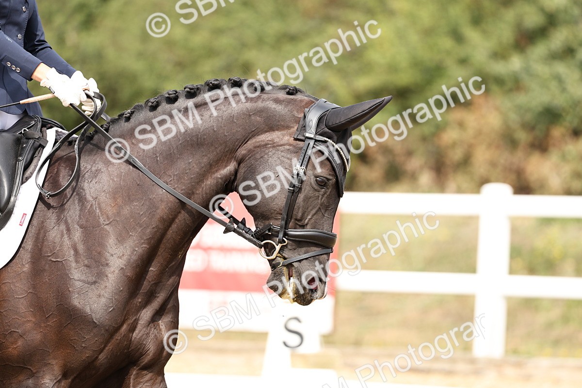 SBM_013137 - Class 3 - Novice 4 - 11.43-12.25