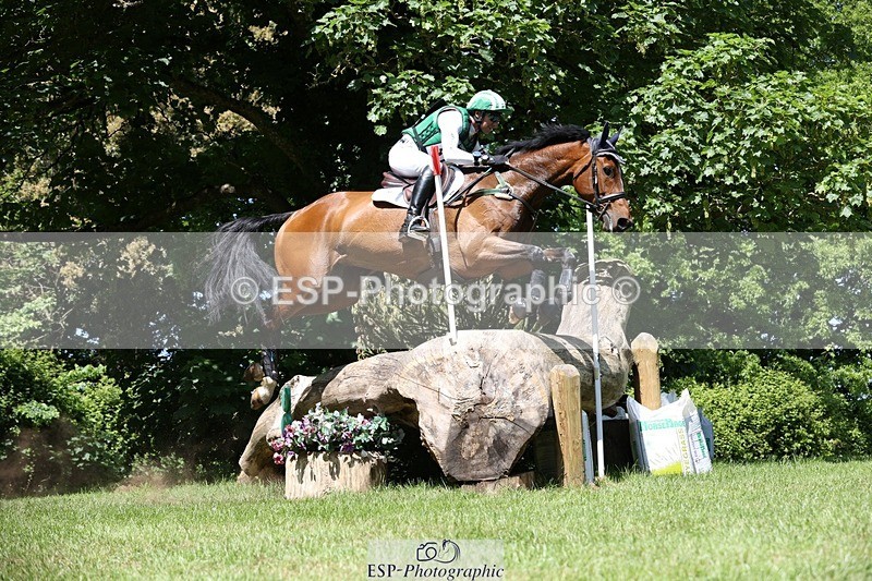 230527-113634-09517 - 312-J'ADORE_SALSA-Michael_Owen-XC