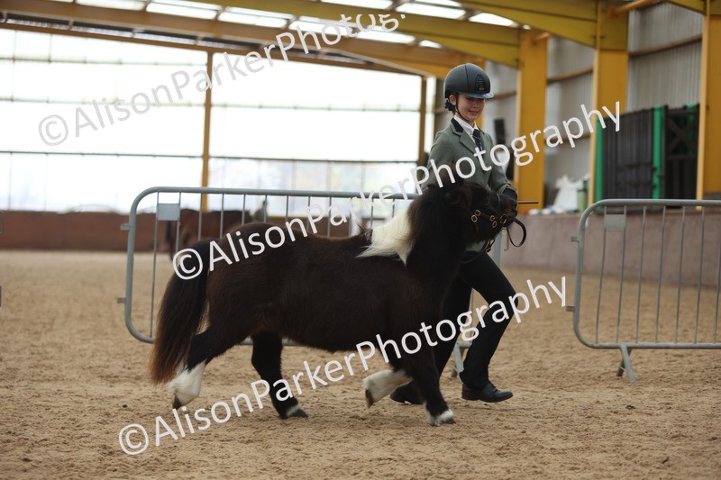 20251109-0449 - Championship