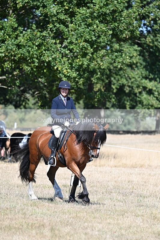 WJ7_0778 - Time 12:03 to 12:23