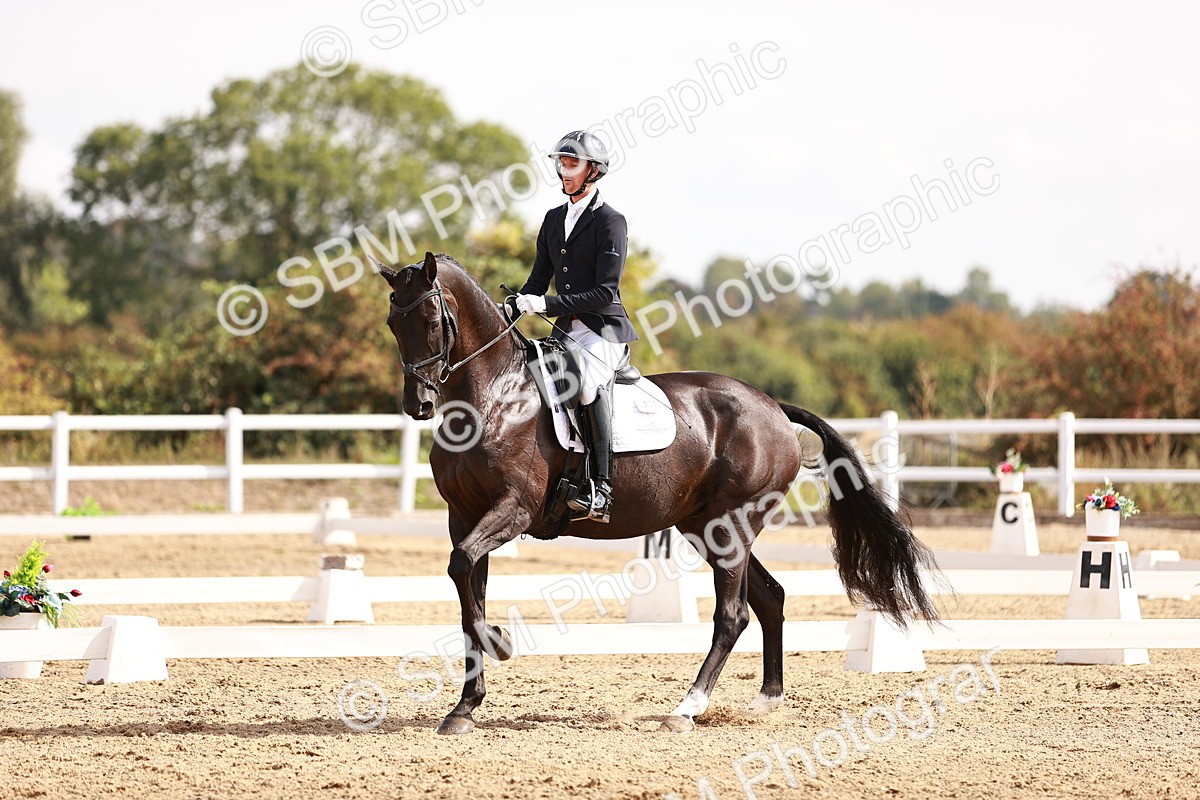 SBM_017631 - Class 11 - Advanced Medium 6