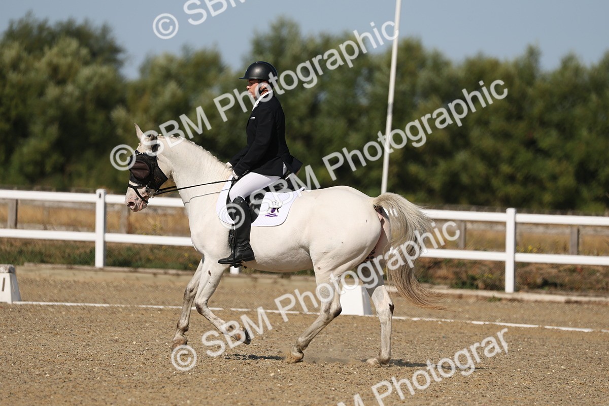 SBM_012823 - Class 1 - P5 Bronze 9.00.10.12