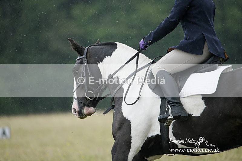 BVRC 030721 610 - Bourne Valley Riding Club Dressage 03/07/21