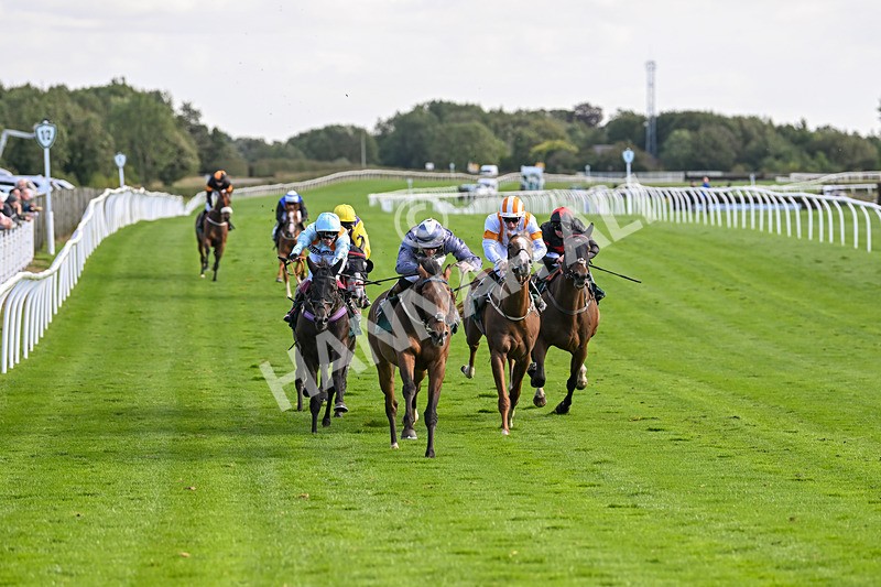 100924-Race 3-Laudable-0156 - Race 3