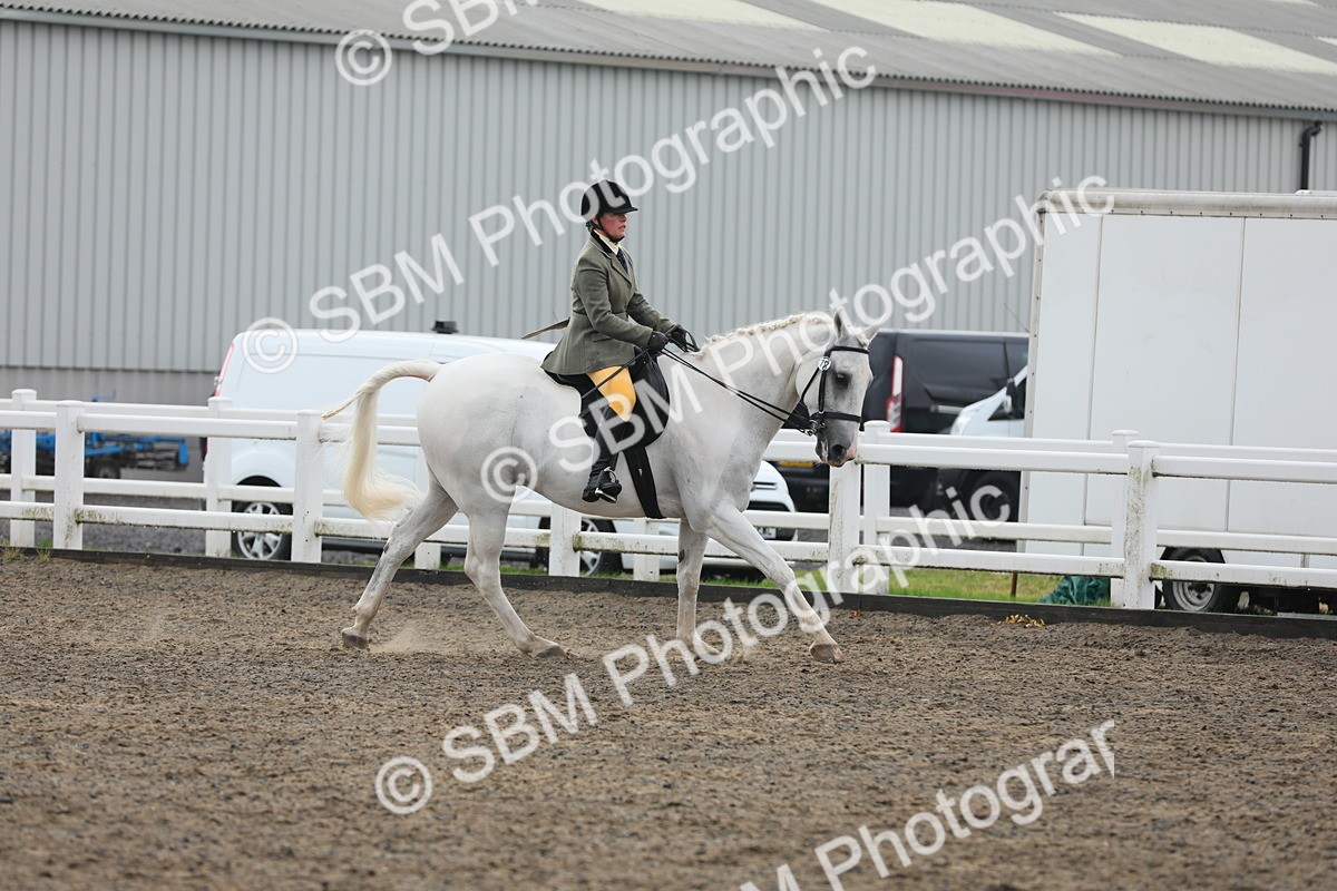 SBM_21292 - Class 805 - Ridden Veteran Horse