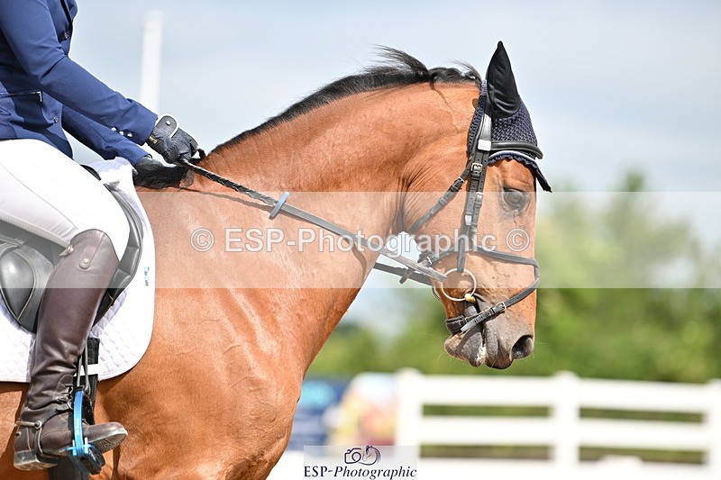 240623A-102414-16582 - Cls 44 BD Prelim 15