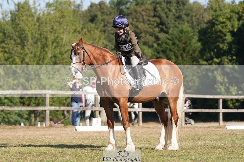 250823A-092742-25674 - Arena A