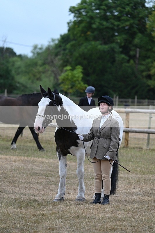 WJ7_9740 - Class 5a Most Handsome Gelding (above 14.2hh)