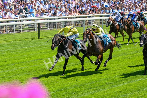120725-Race 1-Remmooz-5504 - Race 1 2.00pm John Smith's Racing Handicap