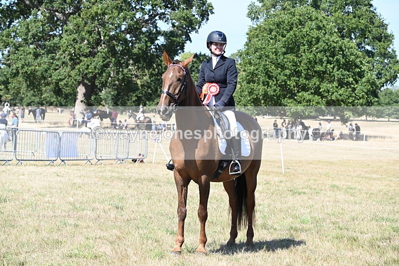WJ6_9059 - Class 38 Ridden Riding Horse/Pony