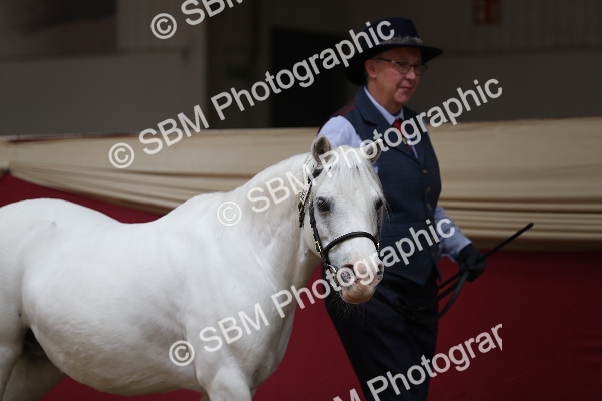 SBM_04904 - Class 8R- Regional -IH Veteran