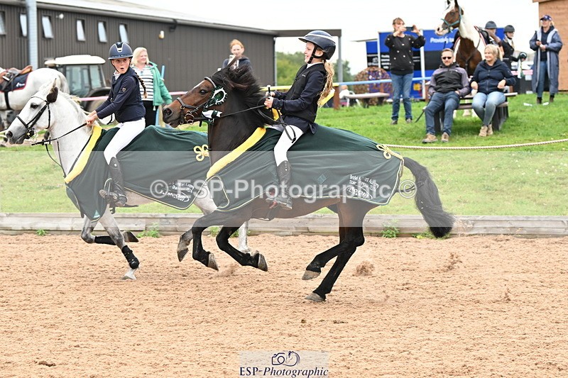 240907A-132900-01991 - Cls 3 Pony Medium Team 80cm & 90cm