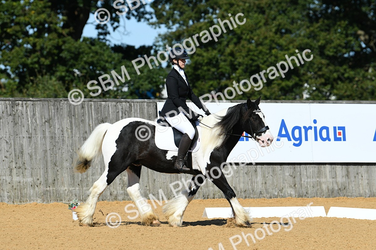 SBM_18212 - D4 - Small Tour Championship - Intro B