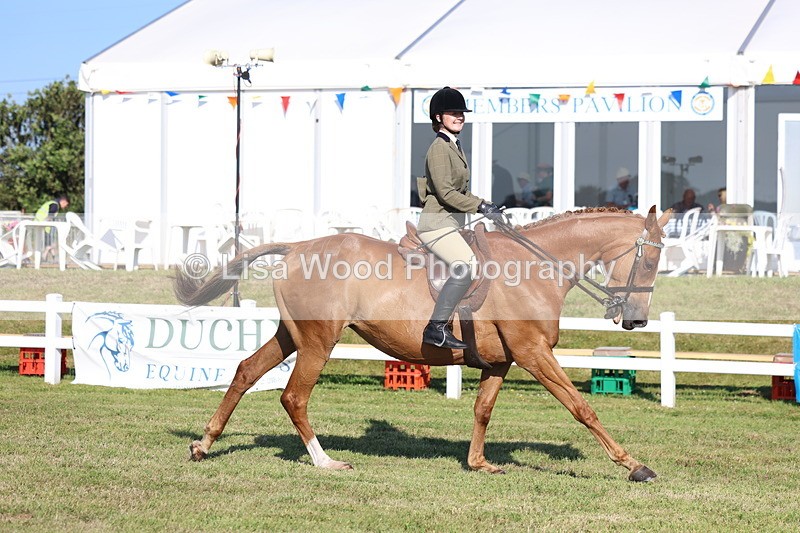 3E7A5344 - Class 2: Rising Star Large Hack/Riding Horse