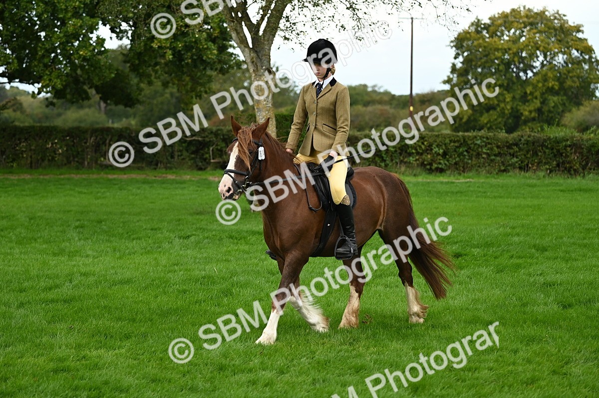 SBM_02900 - S3 - TSR Ridden Pony Showing