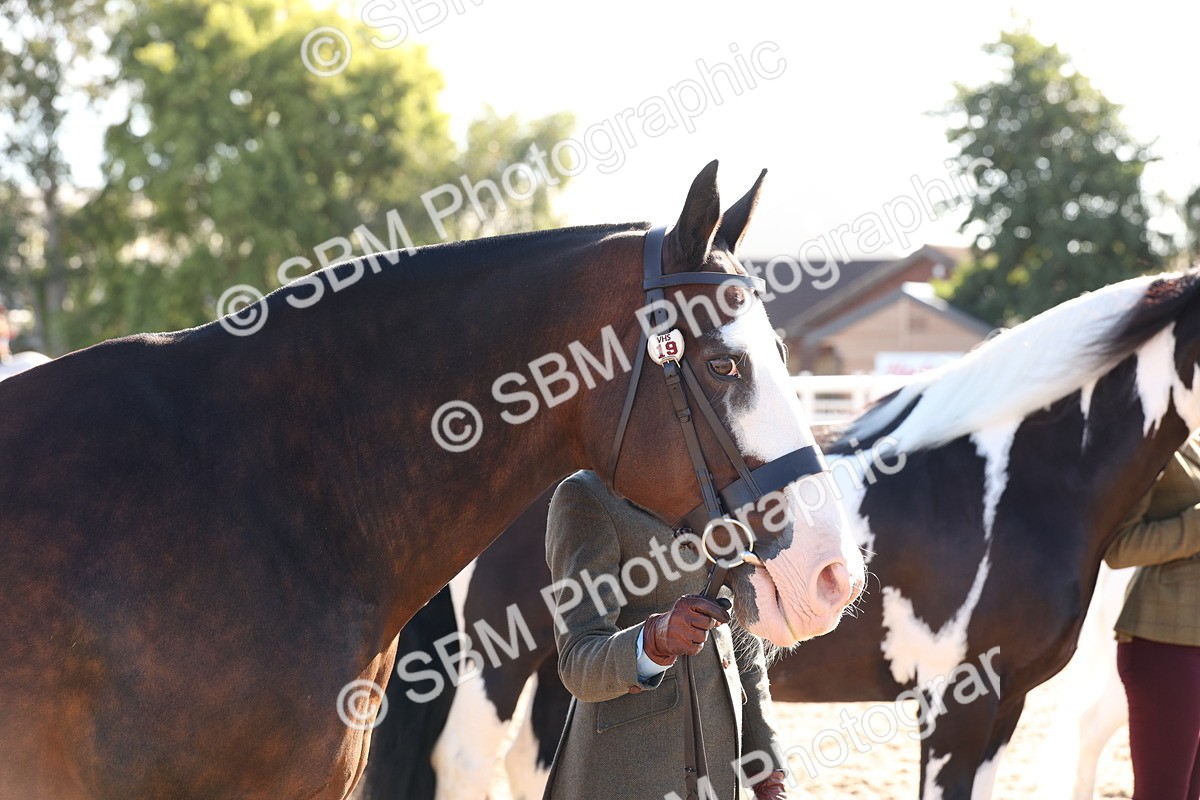 SBM_11746 - Class 204 - Young Handler 11 to 16 years