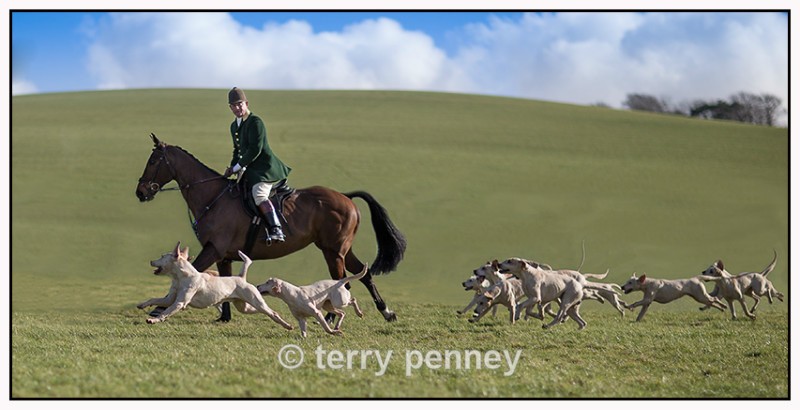  - Equestrian Sport