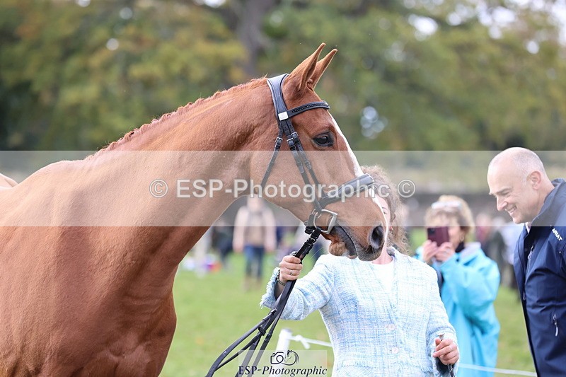 251026A-115239-25733 - G-560-Josie.Dix