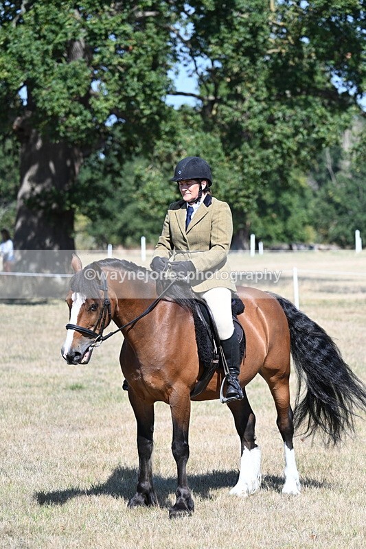 WJ7_4106 - Class 9 Mountain & Moorland Ridden