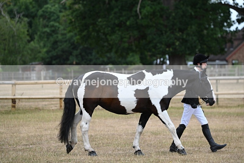 WJ6_7827 - Class 10 Coloured in Hand