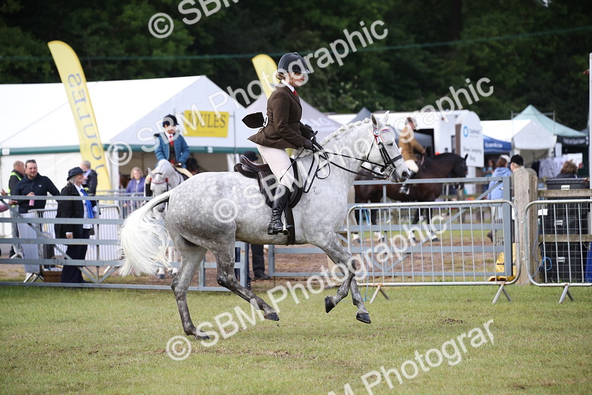 SBM_11504 - Class 95-96 - LIHS BSHA Rising Star Hack Riding Horse
