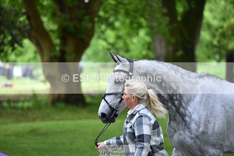 240522-165212-01216 - 226-CLONSHIRE_ON_TREND-Heidi_Coy