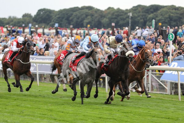 yr18082022r2-32 - Race 2 2.25pm Goffs UK Harry Beeby Premier Yearling Stakes