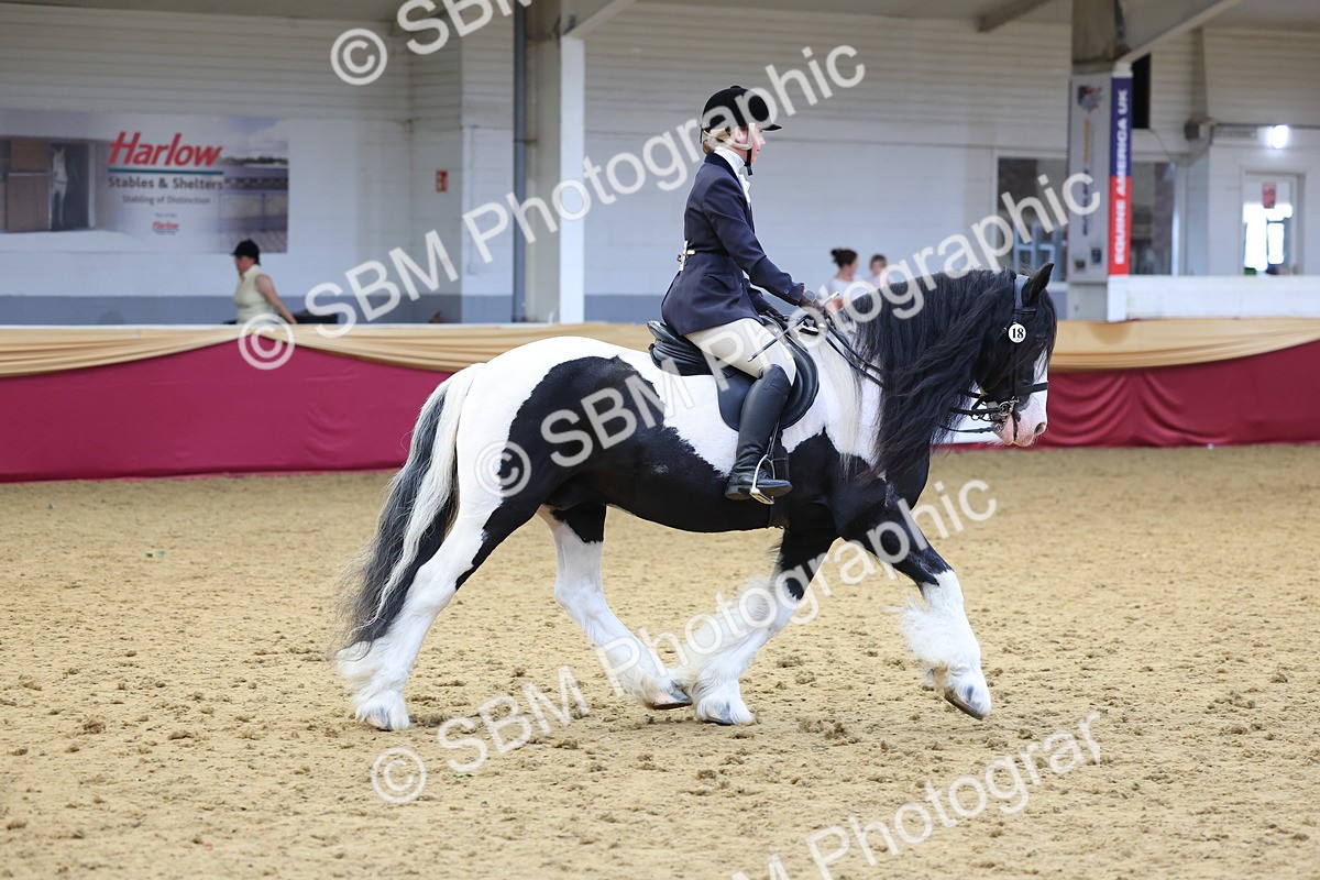 SBM_24429 - Class 906 - Supreme Final - Ridden Pre Vet
