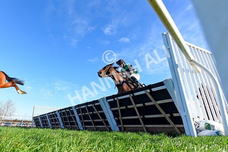 241123-Race 2-Latin Verse-4502 - Race 2