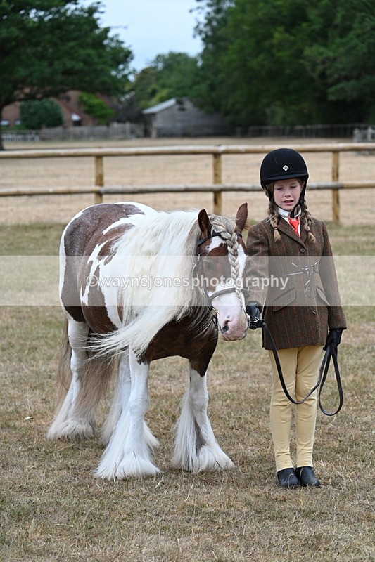 WJ7_8144 - Class 4 Prettiest Mare up to 14.2hh