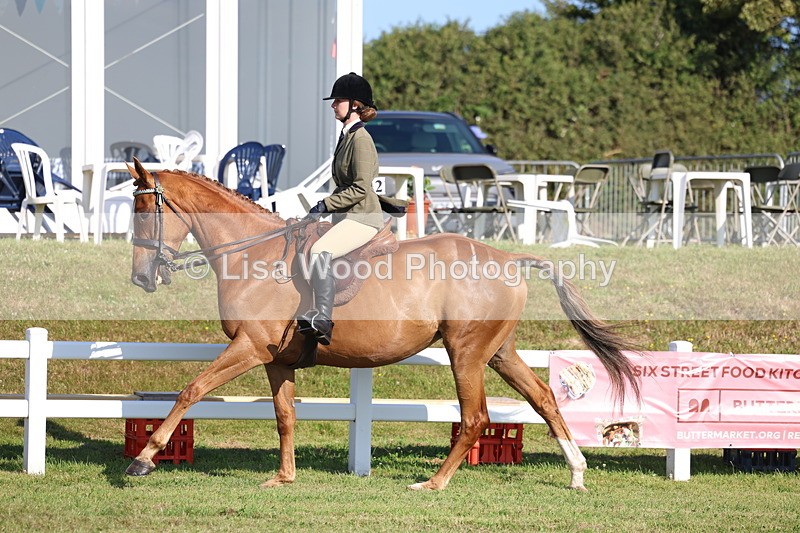3E7A5535 - Class 2: Rising Star Large Hack/Riding Horse