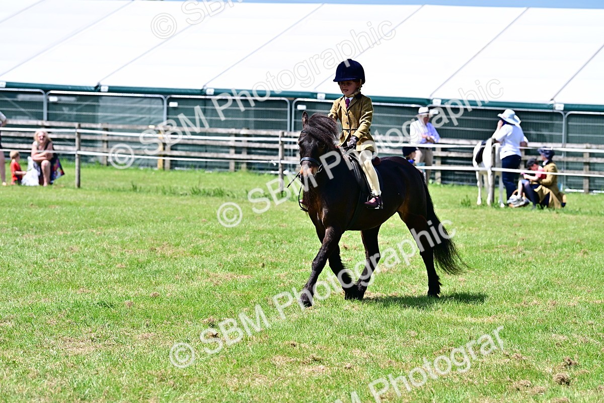 SBM_06097 - Class 59-60 - TSR M&M  Lear Rein and First Ridden Amateur of the year