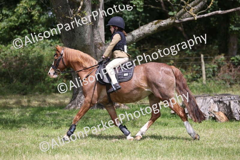 20260614-2010 - Class 21 - Novice Working Hunter Pony