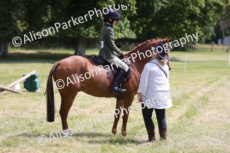 20260614-1865 - Class 21 - Novice Working Hunter Pony