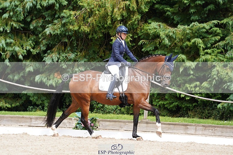 240721-151426-10029 - 195-Dawn_Bear-First_Taylor_Made