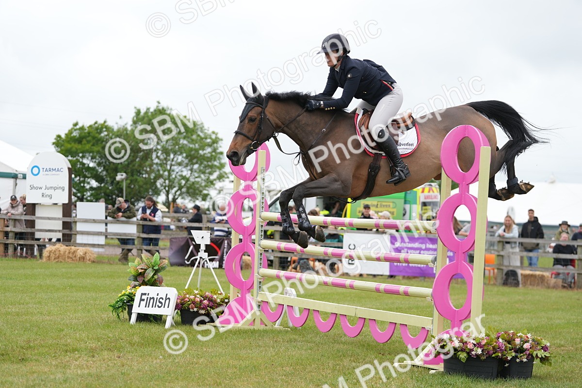 SBM_05237 - Class 201 - British Horse Feeds Speedi Beet Horse of the Year Show Grade  C