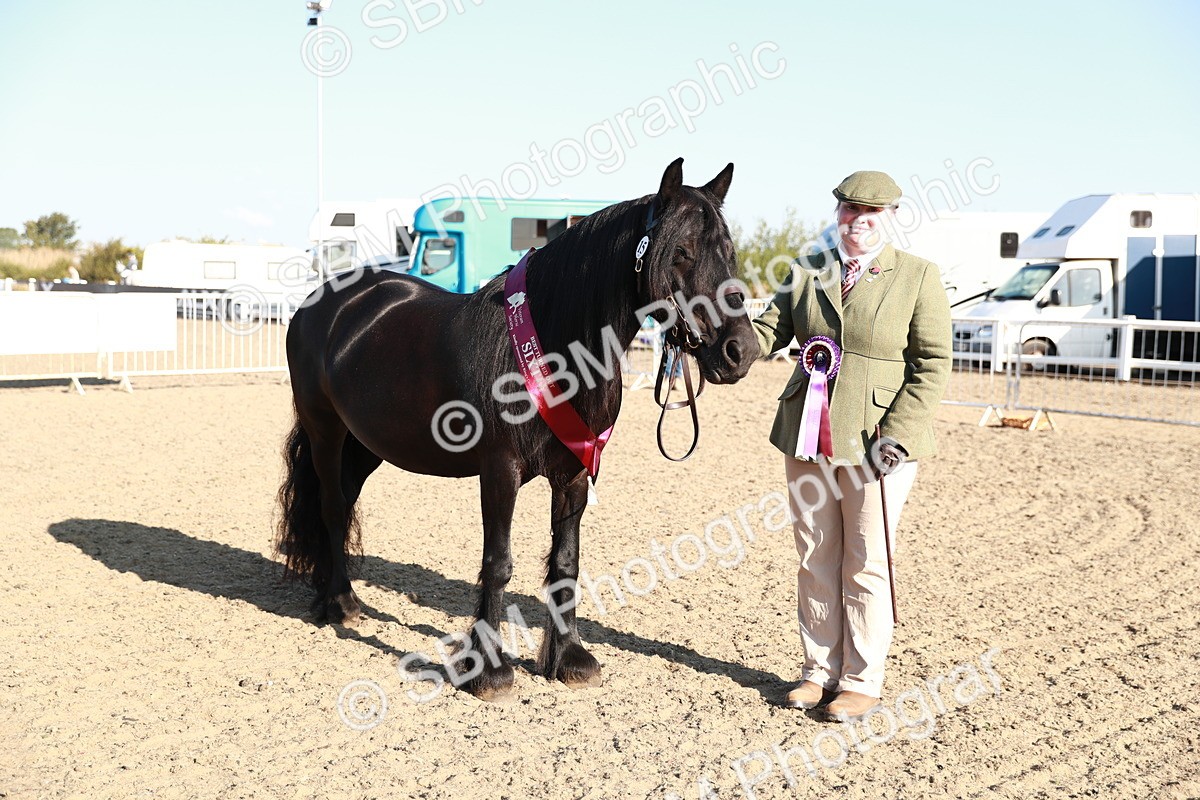 SBM_00155 - Class 40 Best Turned Out IH