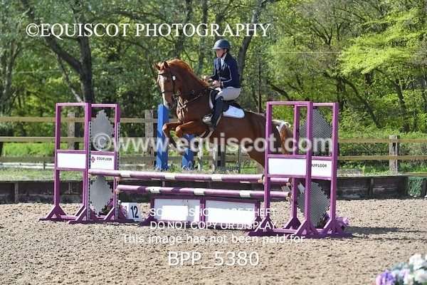 BPP_5380 - CLASS 22 SUN Club/ Unaffiliated 80cms Open