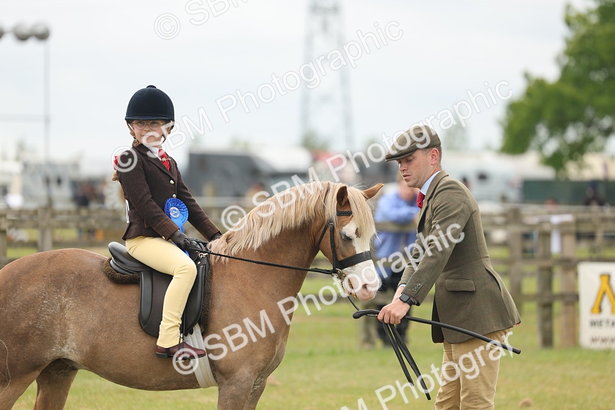 SBM_06948 - Class 74-75 - M&M Lead Rein and First Ridden Pony